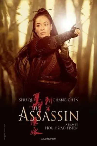 โปสเตอร์หนัง ประกาศิต หงษ์สังหาร The Assassin
