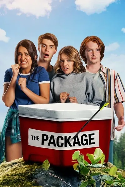 โปสเตอร์หนัง กล่องดวงใจ The Package